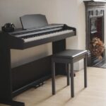 Best Small Electric Piano - Reviews and Guide for Children and Beginners
